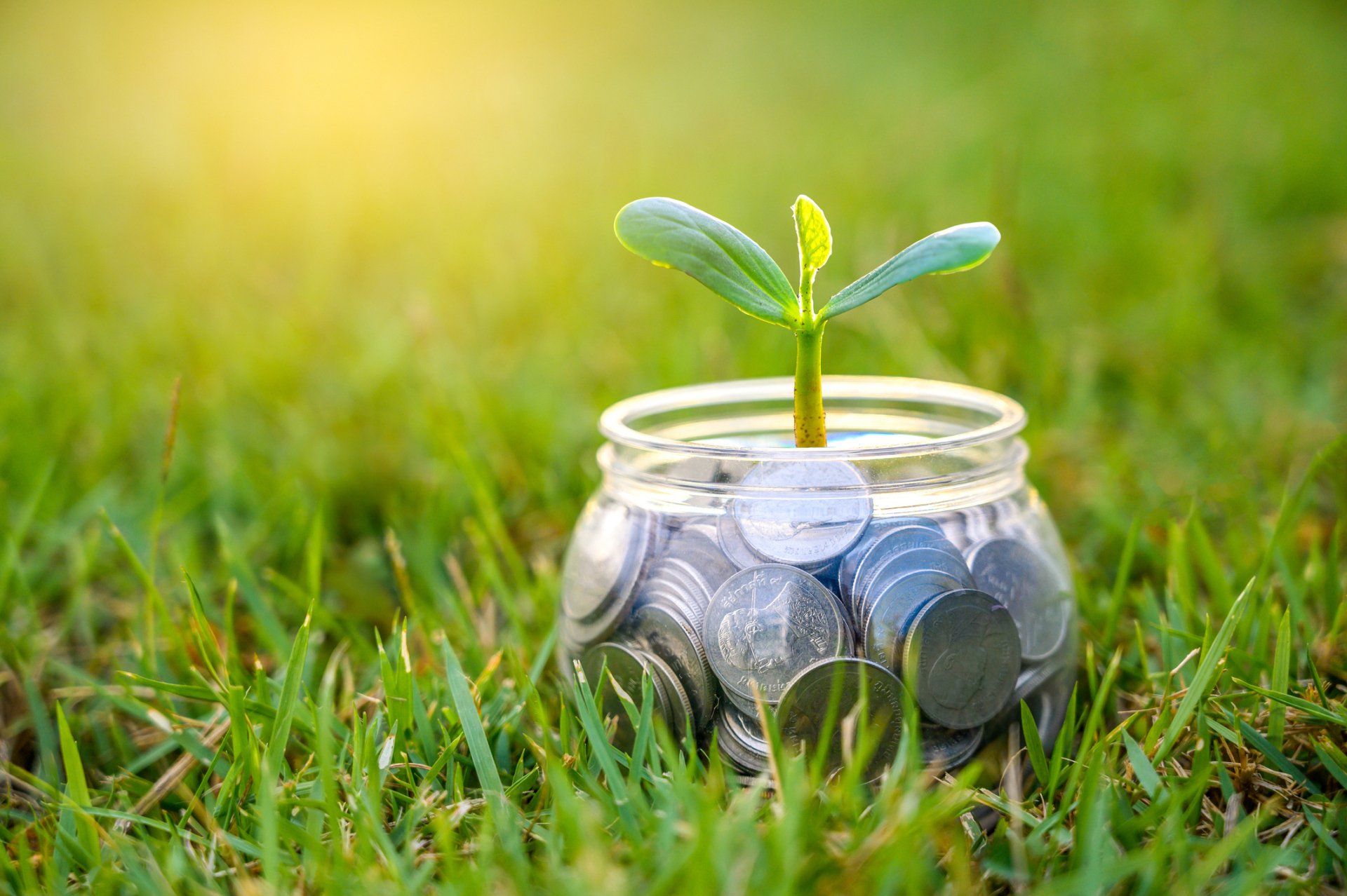 Coin Tree Glass Jar Plant — Bradenton, FL — Sound Wealth Management #1 Coin Tree Glass Jar Plant — Bradenton, FL — Sound Wealth Management #1