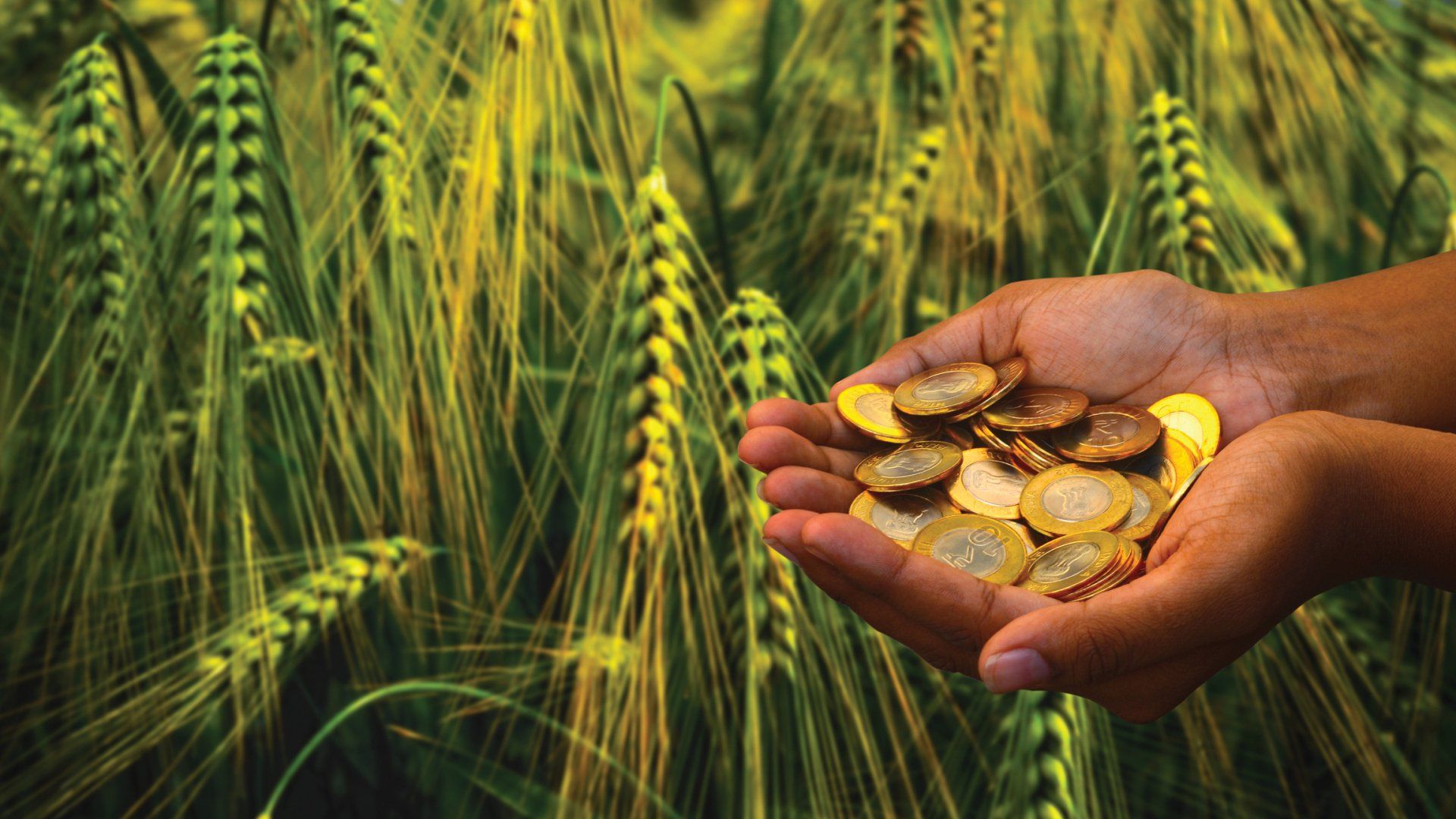 Holidays, Hot Cocoa, Family Gatherings and Tax Harvesting