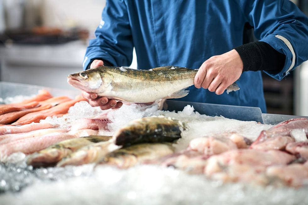 Fishmonger holding a fresh fish over ice at a seafood market with shrimp and other fish displayed