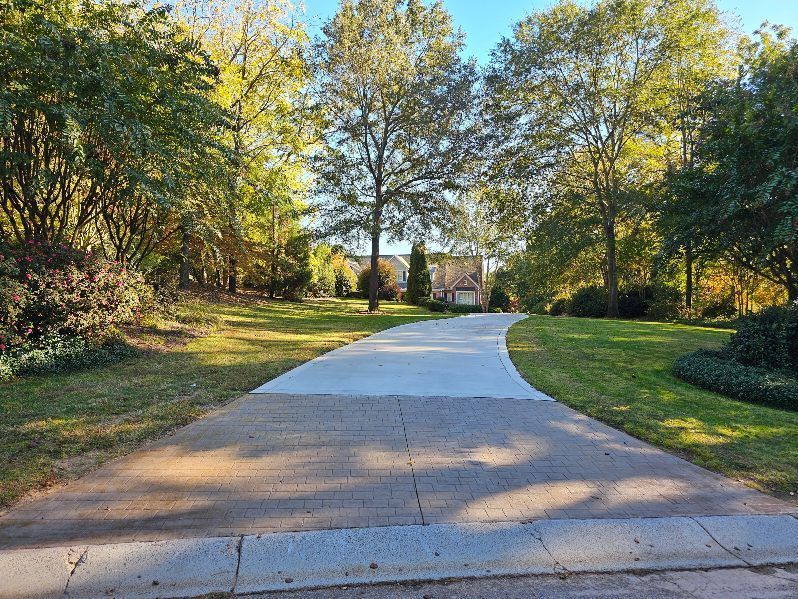 Curving concrete path through a sunny park with trees and green grass