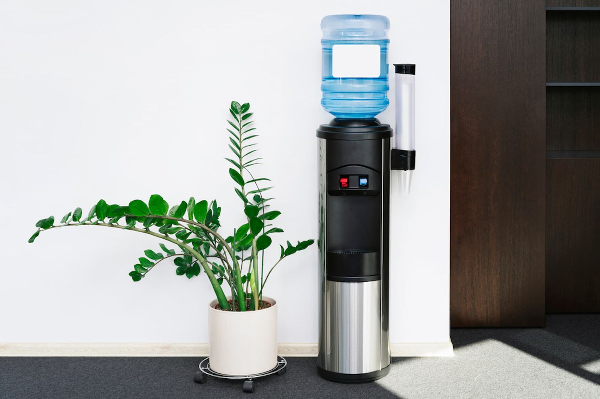 A Water Cooler with A Plant in A Pot Next to It — Billabong Springs in Jimboomba, QLD