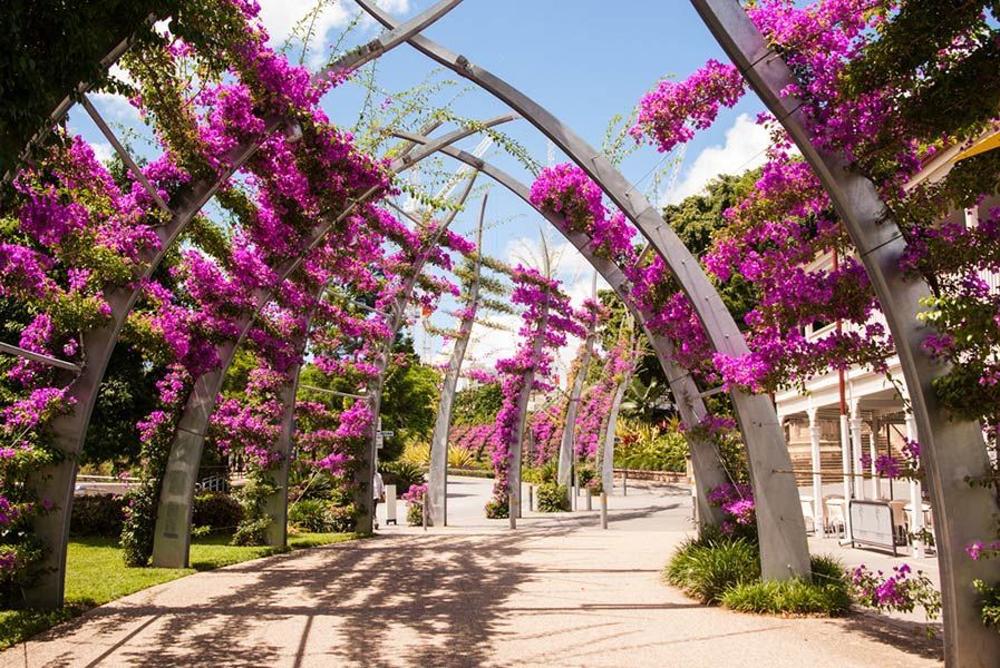 A Walkway with Purple Flowers Growing on The Side of It — Billabong Springs in Brisbane, QLD
