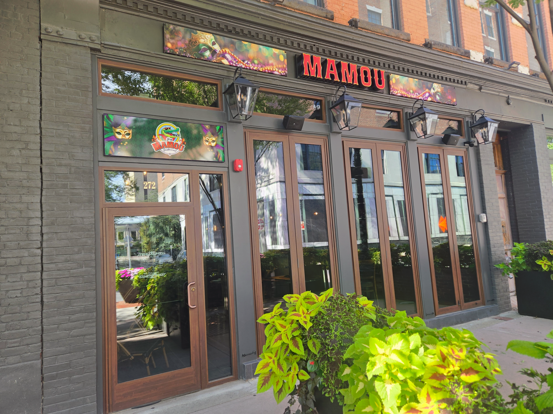 The Mamou