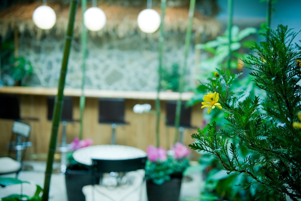 Spa Getaway Great Neck, NY Butterfly Garden Spa