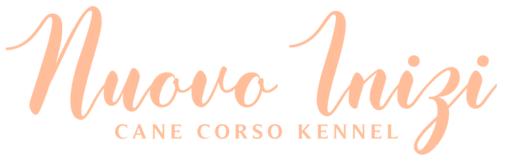 it is a logo for a cane corso kennel .