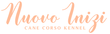 it is a logo for a cane corso kennel .