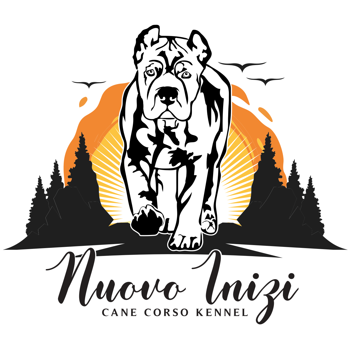 a black and white logo for a cane corso kennel