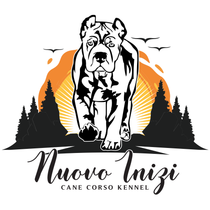 a black and white logo for a cane corso kennel .