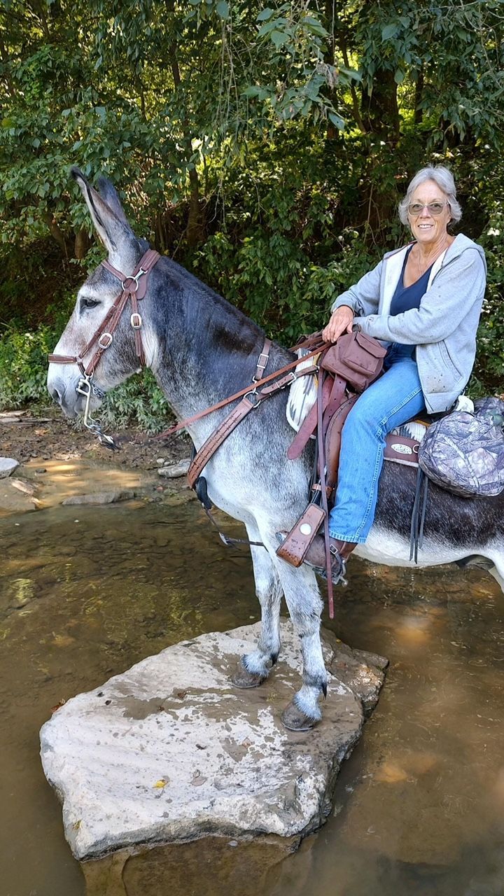 Dana Wilson on Wishbone photo of Wishbone, a Garrett saddle donkey.