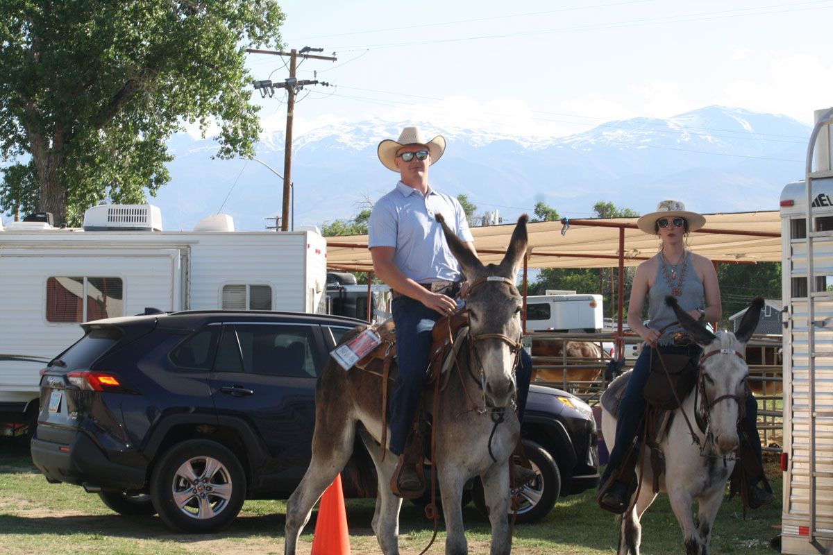 Bishop Mule Days photo, May, 2023