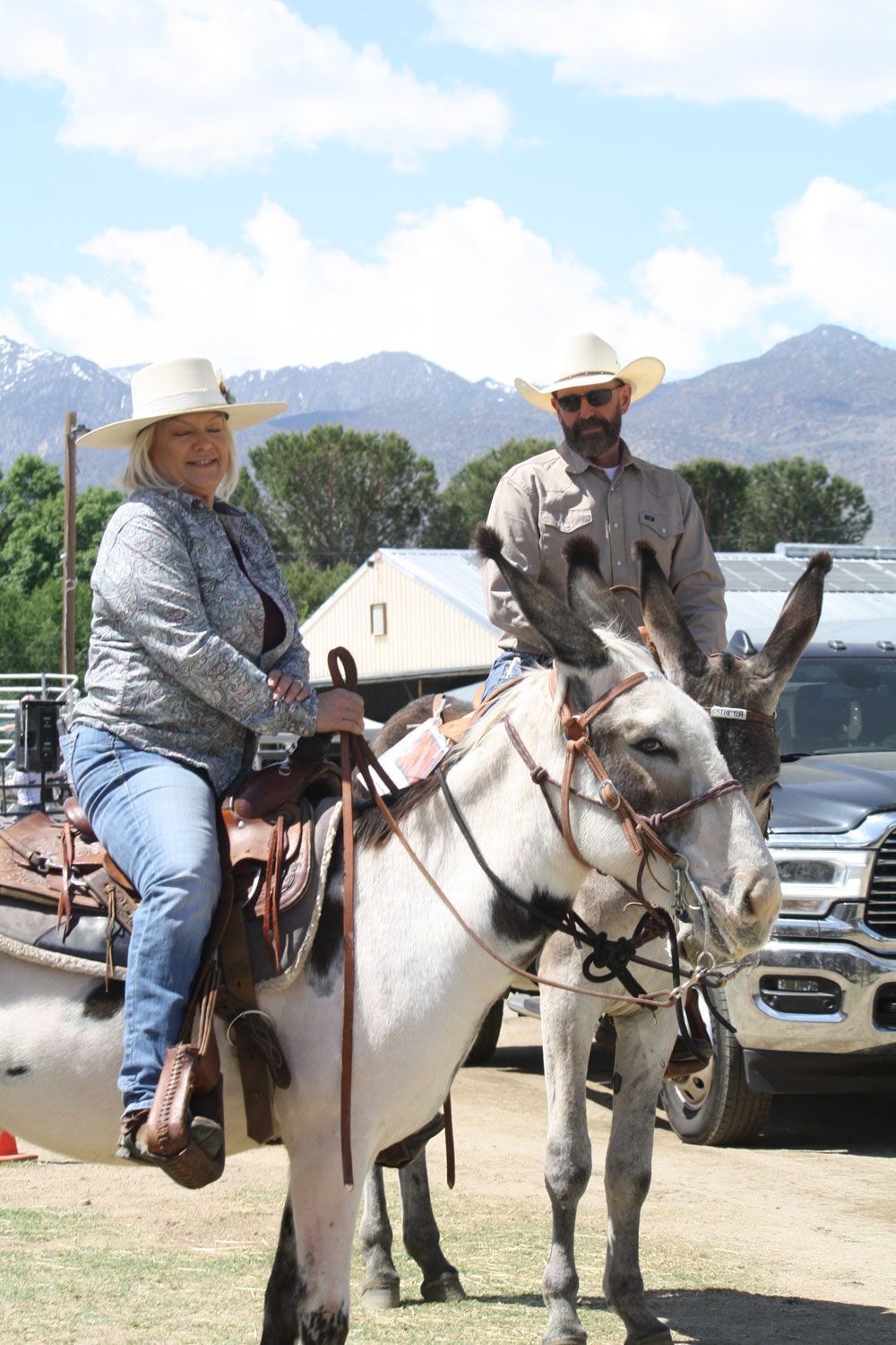 Bishop Mule Days photo, May, 2023