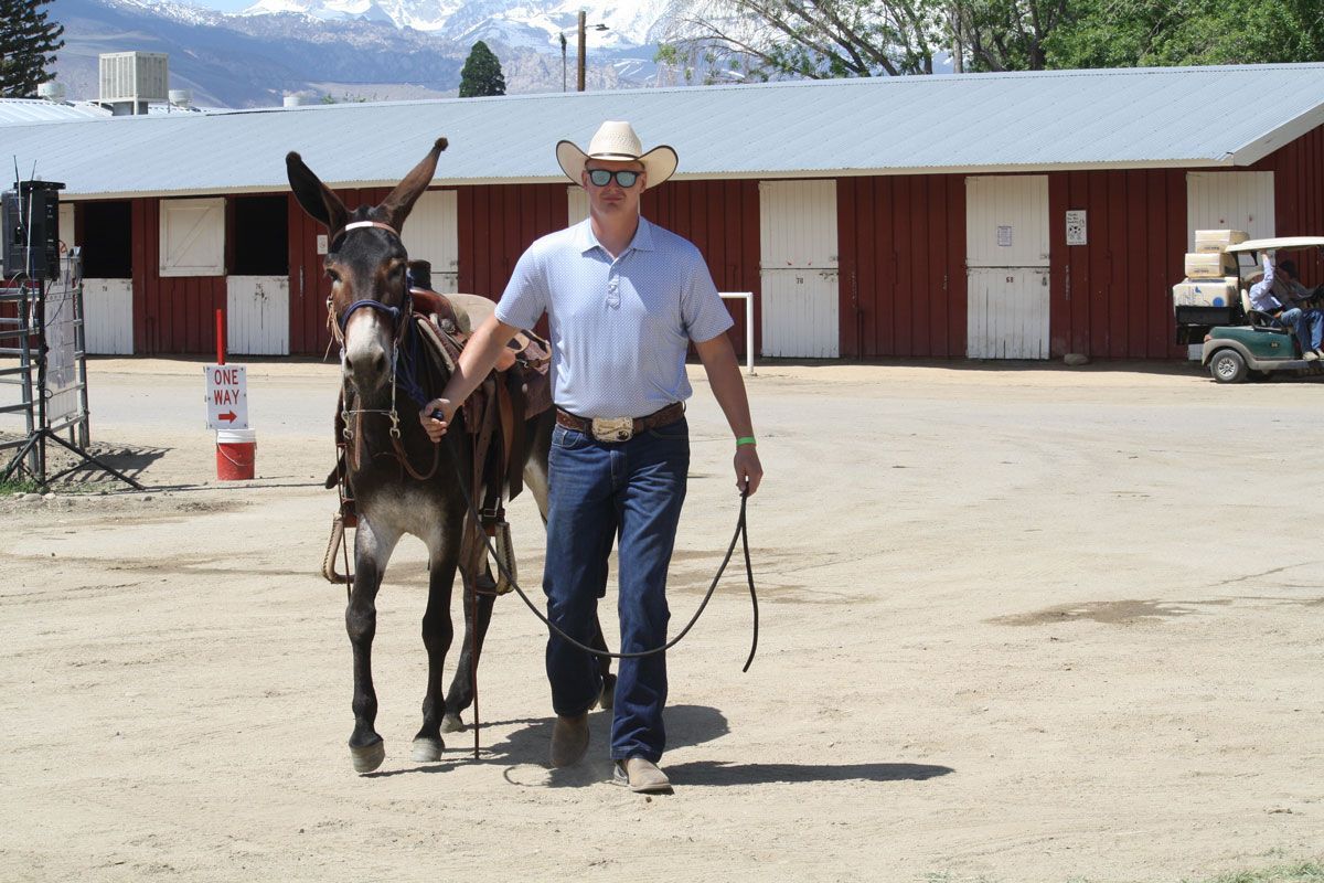 Bishop Mule Days photo, May, 2023