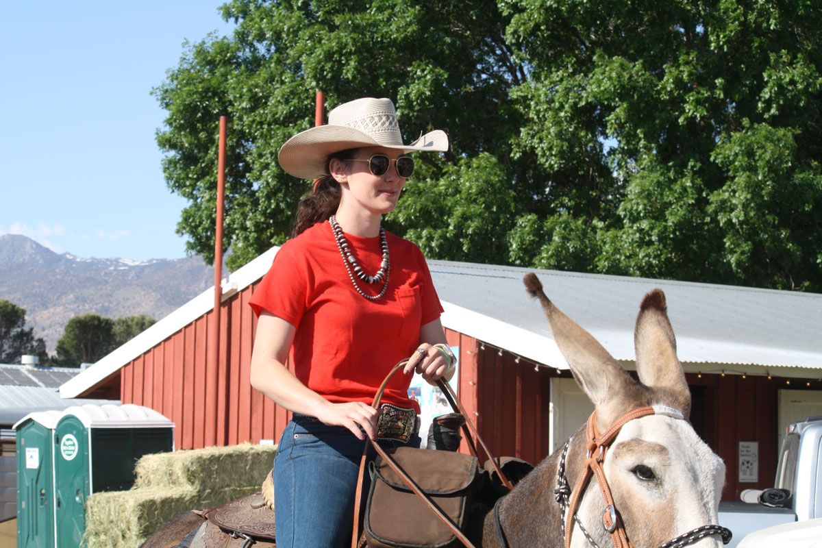 Bishop Mule Days photo, May, 2023