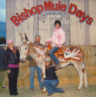 Dutch Bishop Mule Days 2