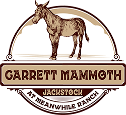Garrett Mammoth Jackstock Garrett Mammoth Jackstock