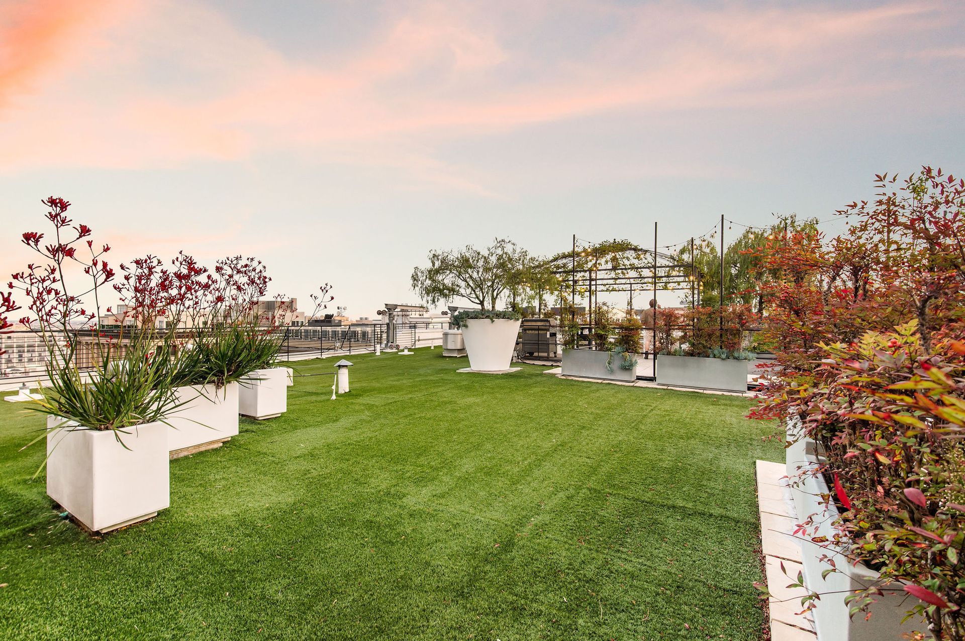 Rooftop