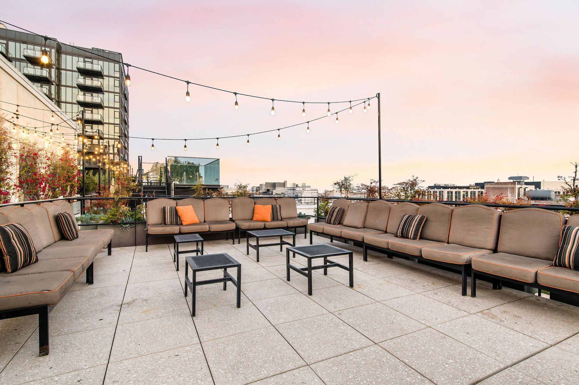 Rooftop