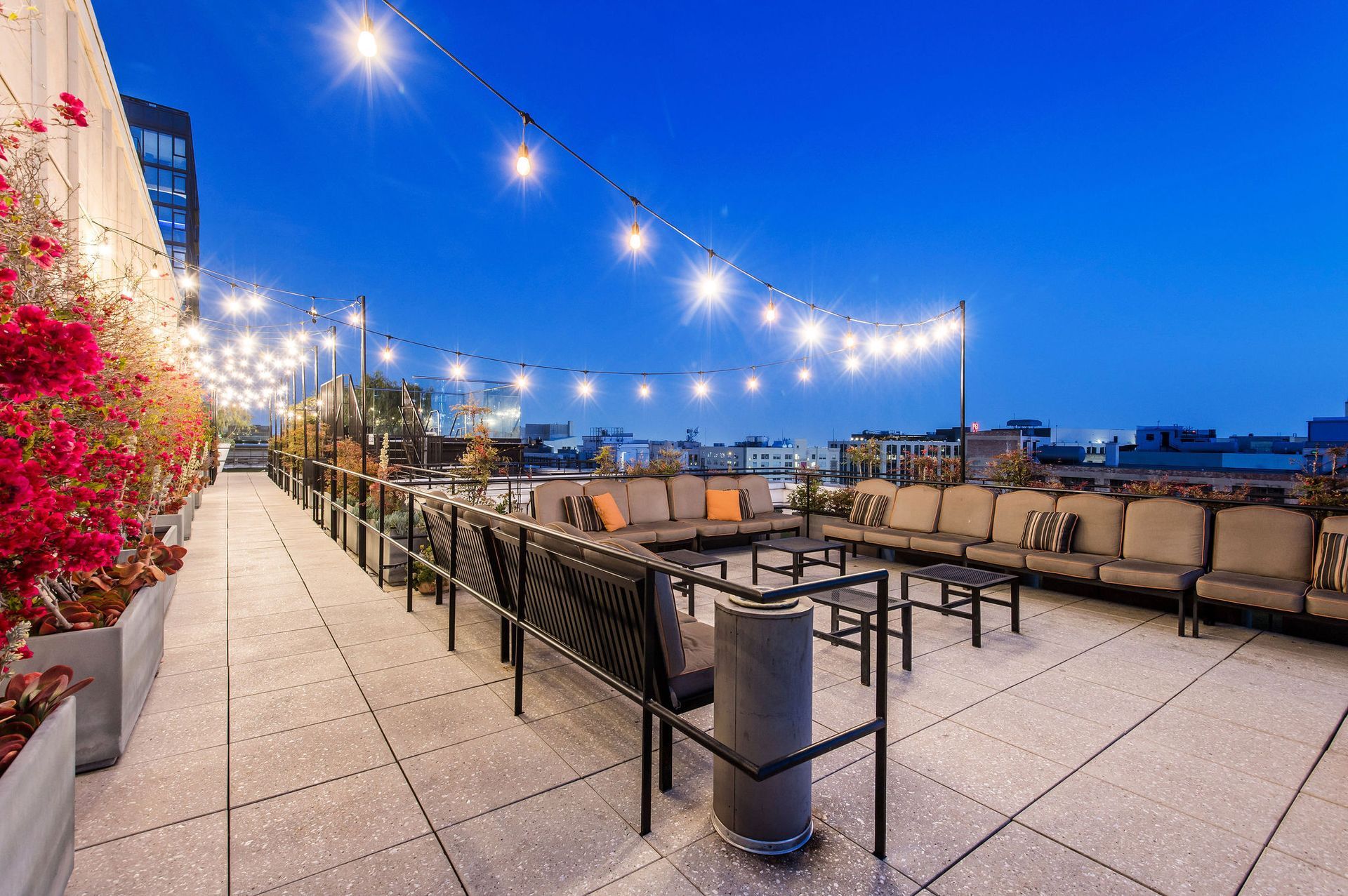 Rooftop