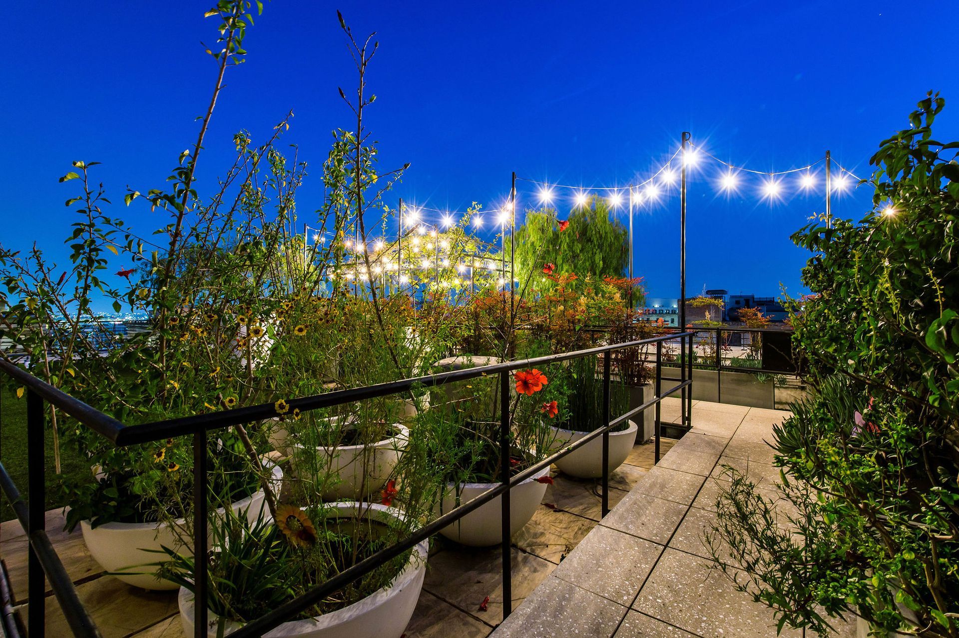 Rooftop