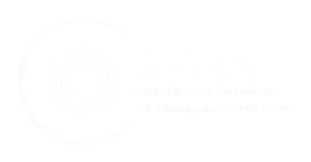 Estudio Gestión de Riesgos LaboralesLOGO