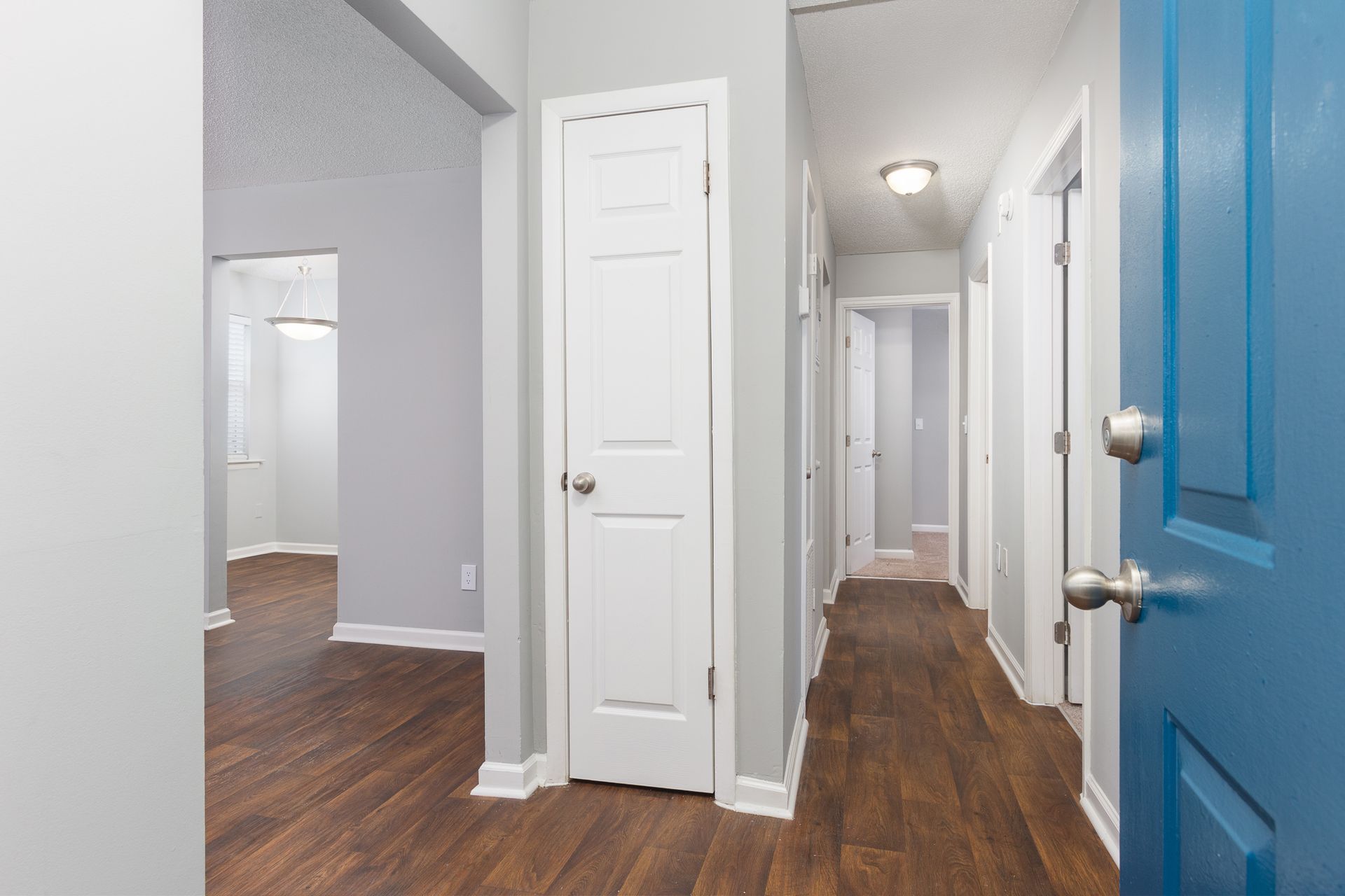 An interior view of a hallway with wood-style flooring, white doors, gray walls, and a blue door on the right.