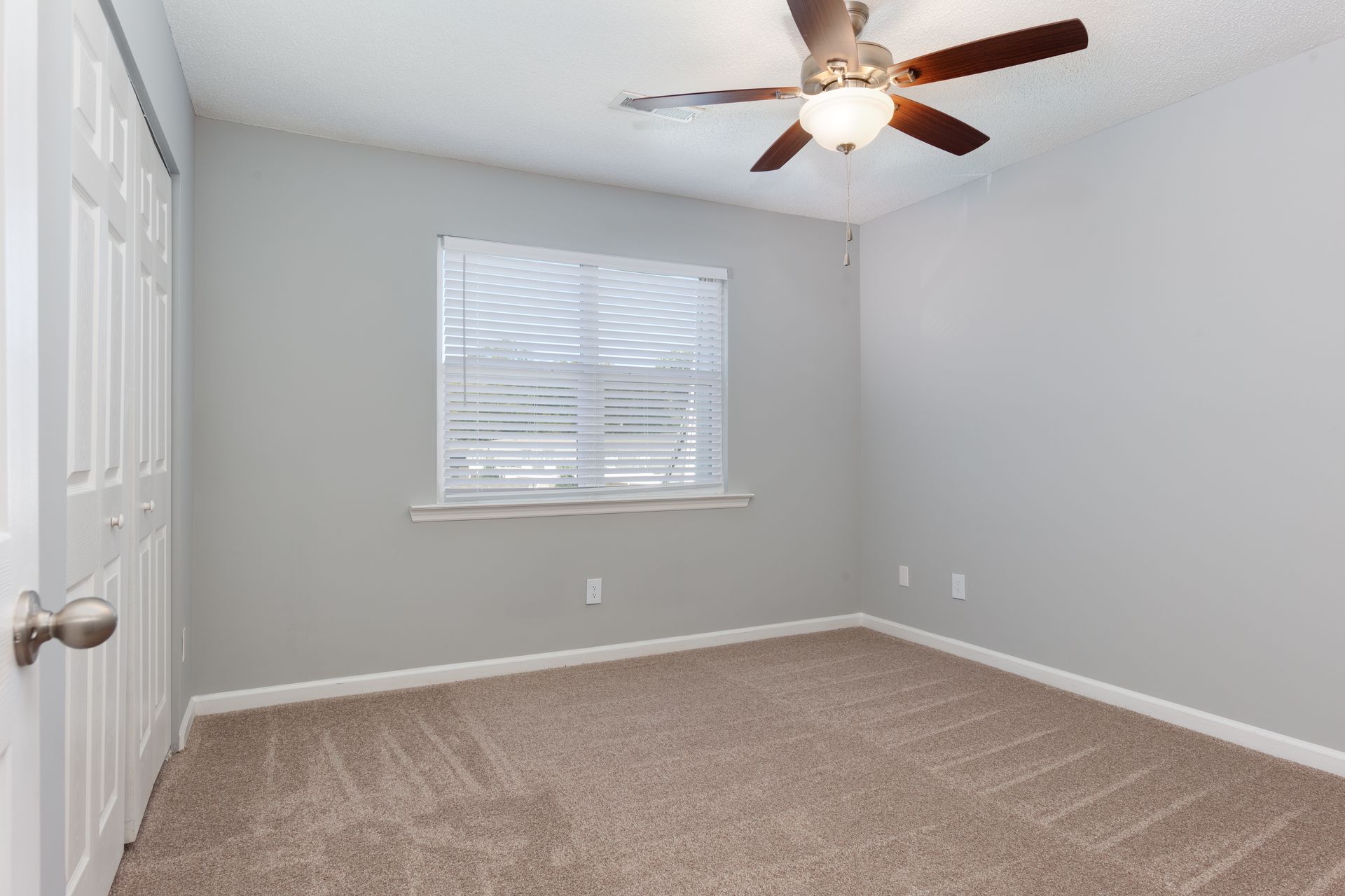 An empty bedroom with gray walls, beige carpet, a ceiling fan, and white closet doors.