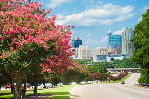 Downtown Raileigh skyline from a road leading into the city, perfect for showing the vibrant urban core when moving with Jones Helps U Move. 
