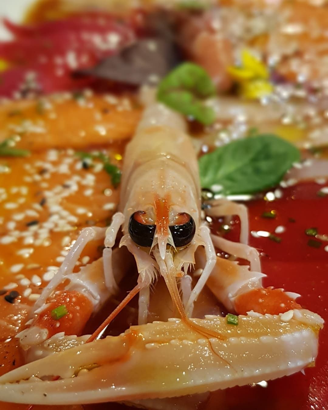 astice al Don Nippon Taste di Lissone