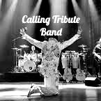 Calling Tribute Band
Sinds 2023 ben ik de Saxofonist van deze band. Een band die tributeshow's in theaters met artiesten doet. Zo hebben we al diverse malen in het Afas Theater gestaan en vele andere.