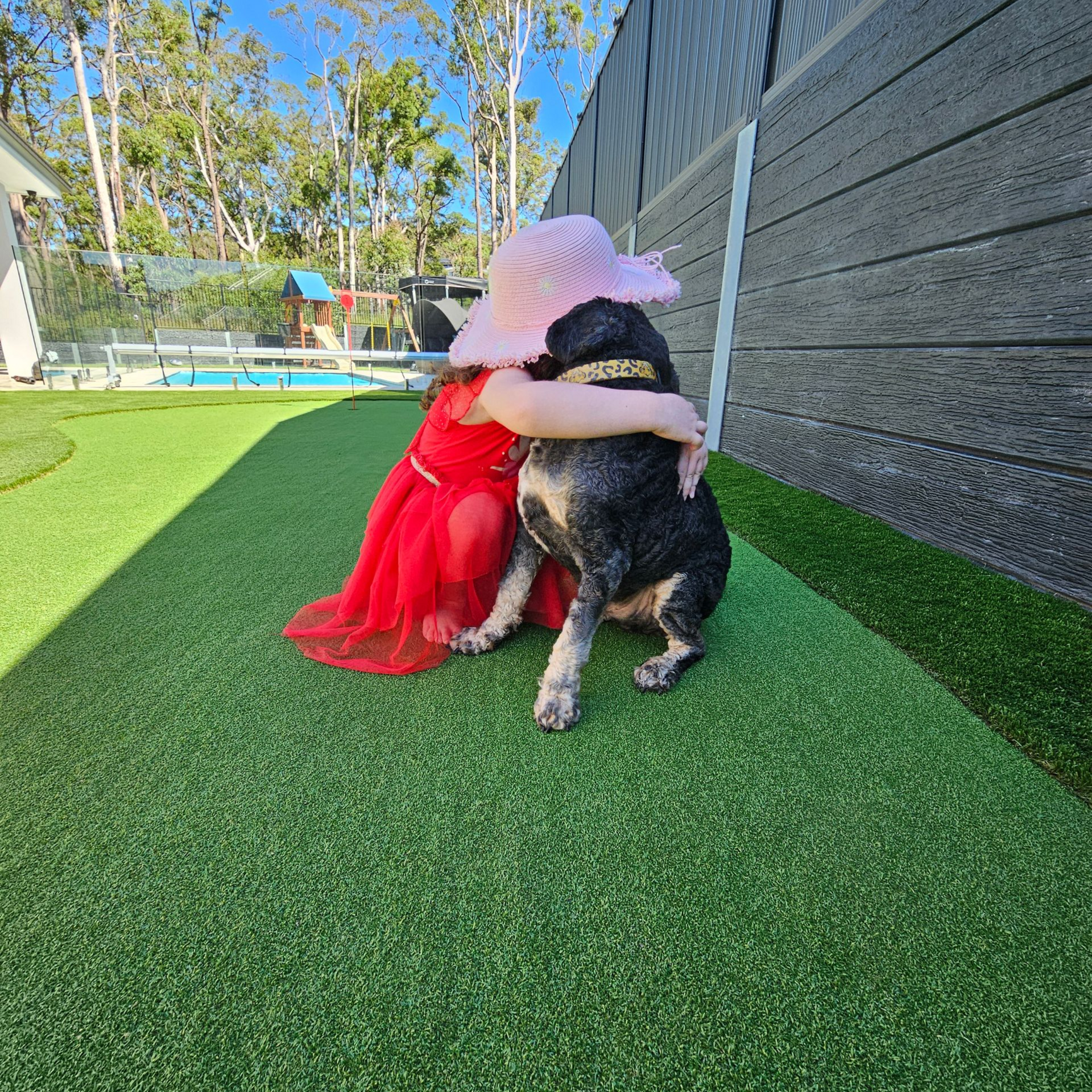 Child in a pink hat and red dress hugging a black-and-white dog on green turf outdoors