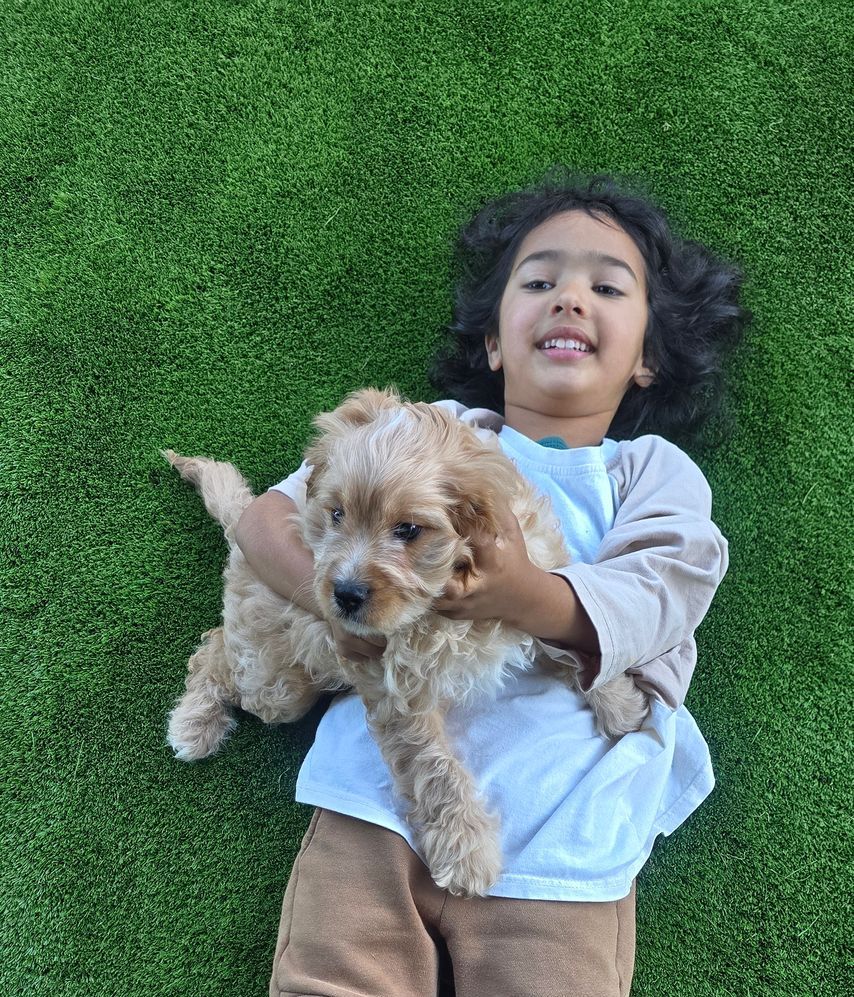 Child lying on green grass and holding a fluffy tan puppy, both facing the camera.