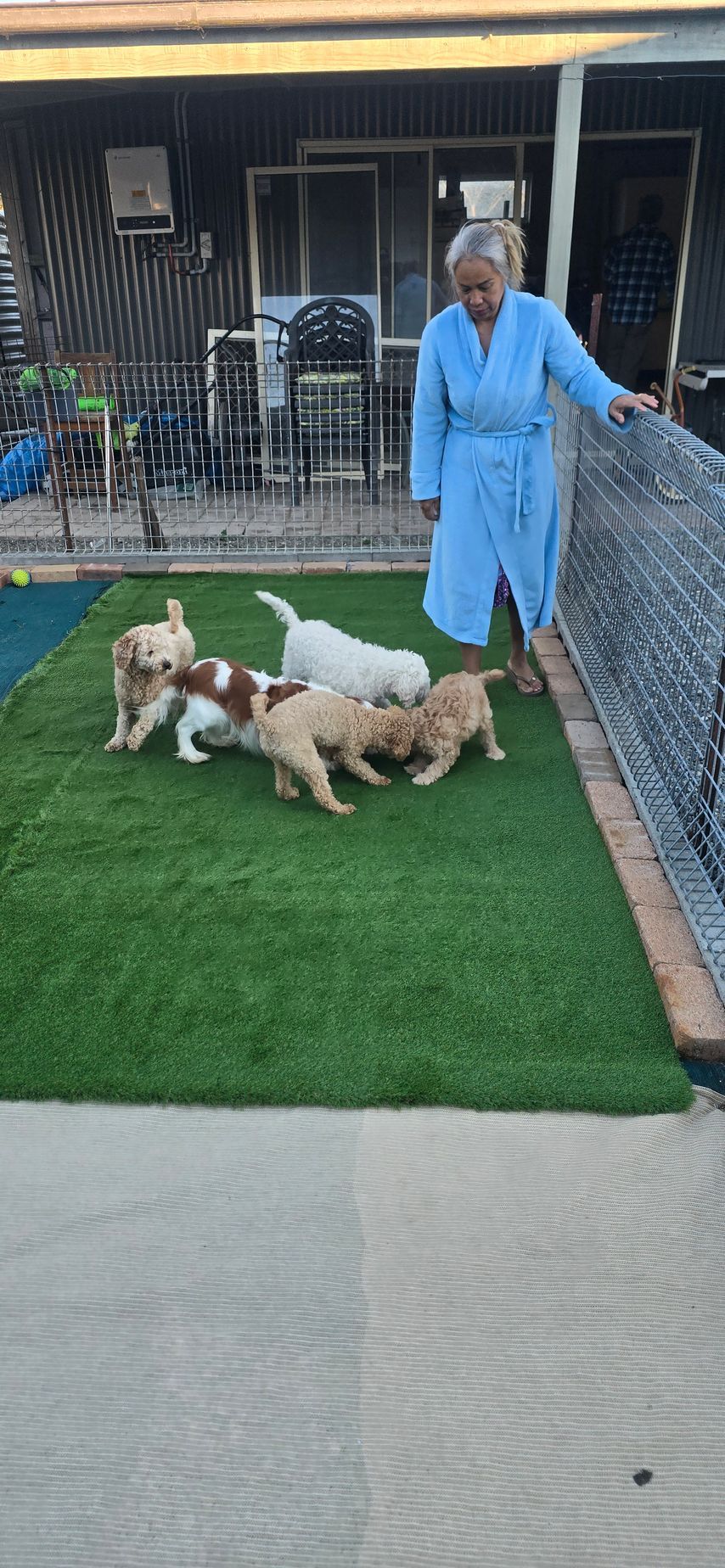 Woman in blue robe standing with three dogs on a grassy patio outside a house