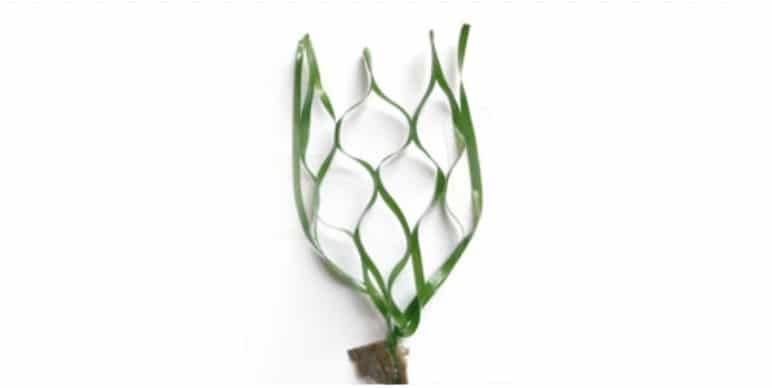 Close-up of a green vine-shaped metal candle holder with a small base on a white background