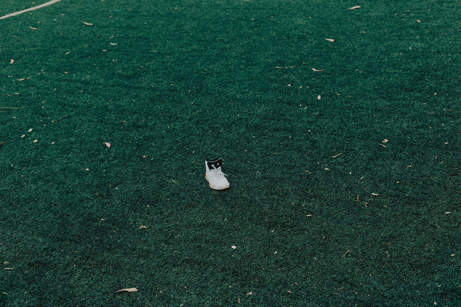 What is the best artificial turf for my home?