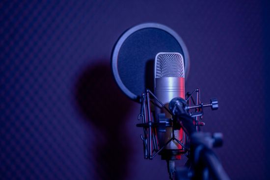 elettronica service audio