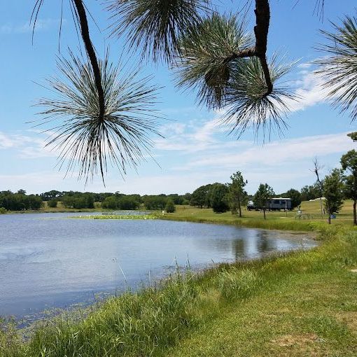 A sunny day by a lake, with trees in the foreground and a small building on the shore.