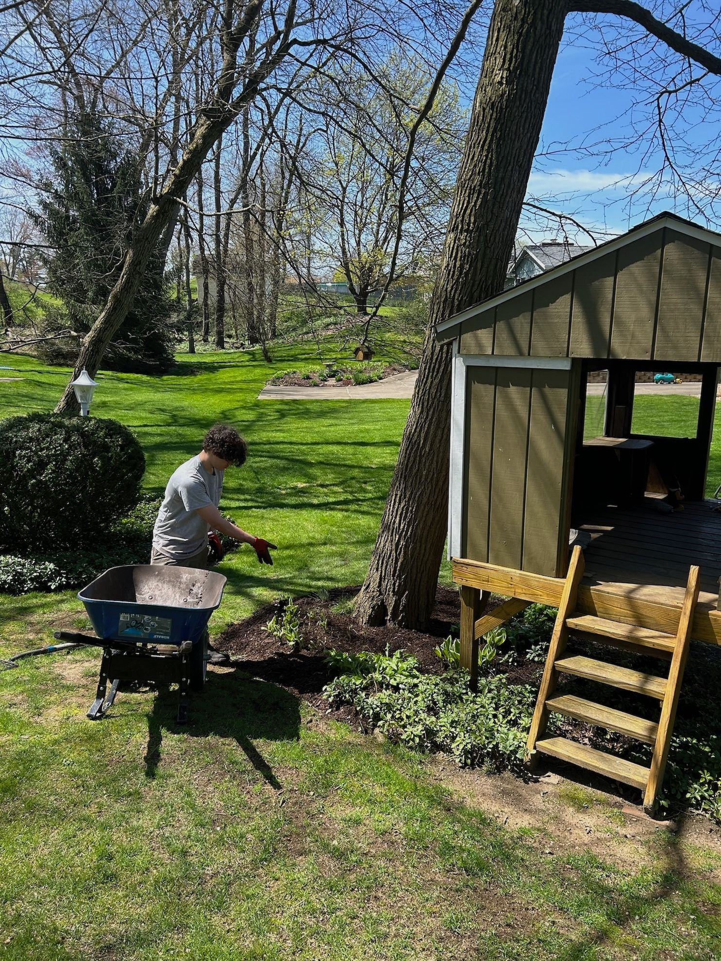 A man is sitting in a wheelbarrow in front of a tree house.