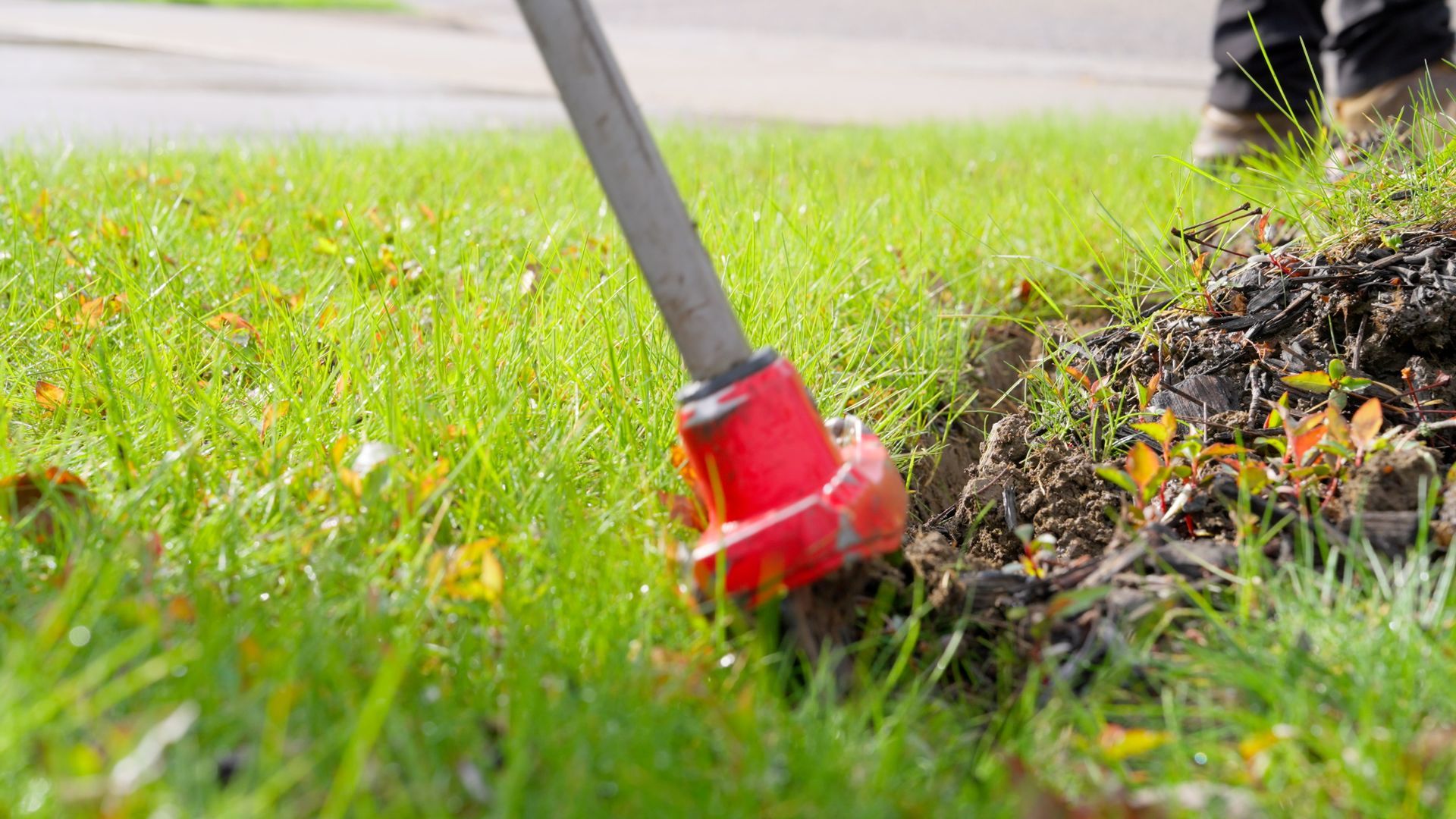 String trimmer cutting grass along a lawn edge beside a flower bed.