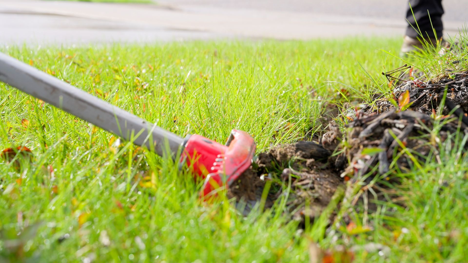 String trimmer cutting grass along a lawn edge, with a red guard near the blade.