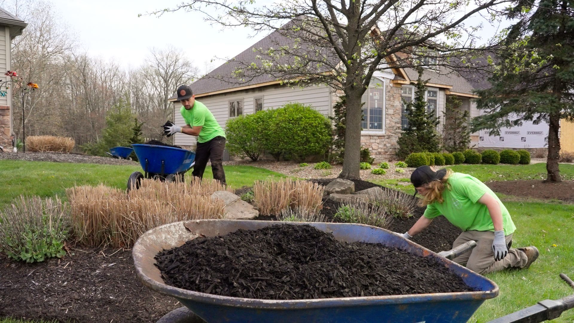 Two workers in green shirts wheelbarrowing mulch in a landscaped yard beside a house.
