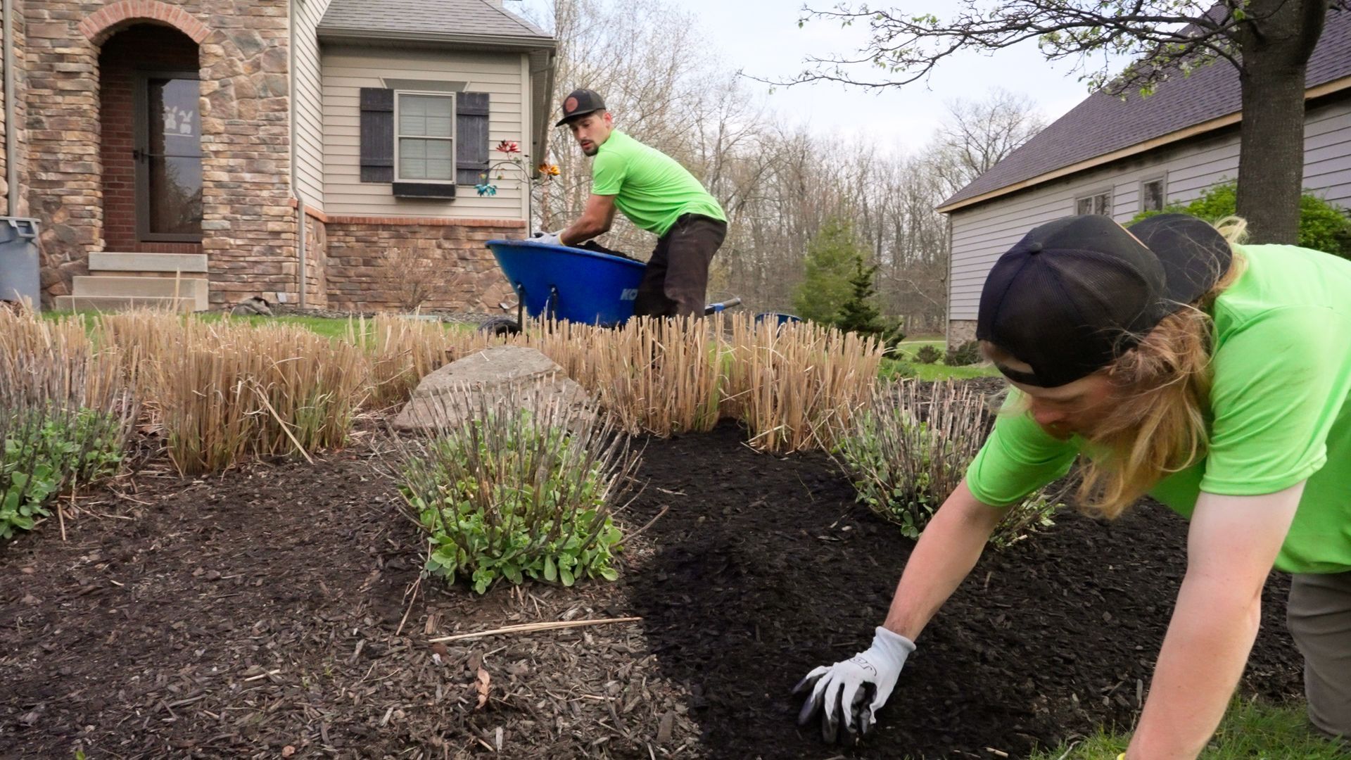 Two people in green shirts planting shrubs in a mulched garden beside a brick house.