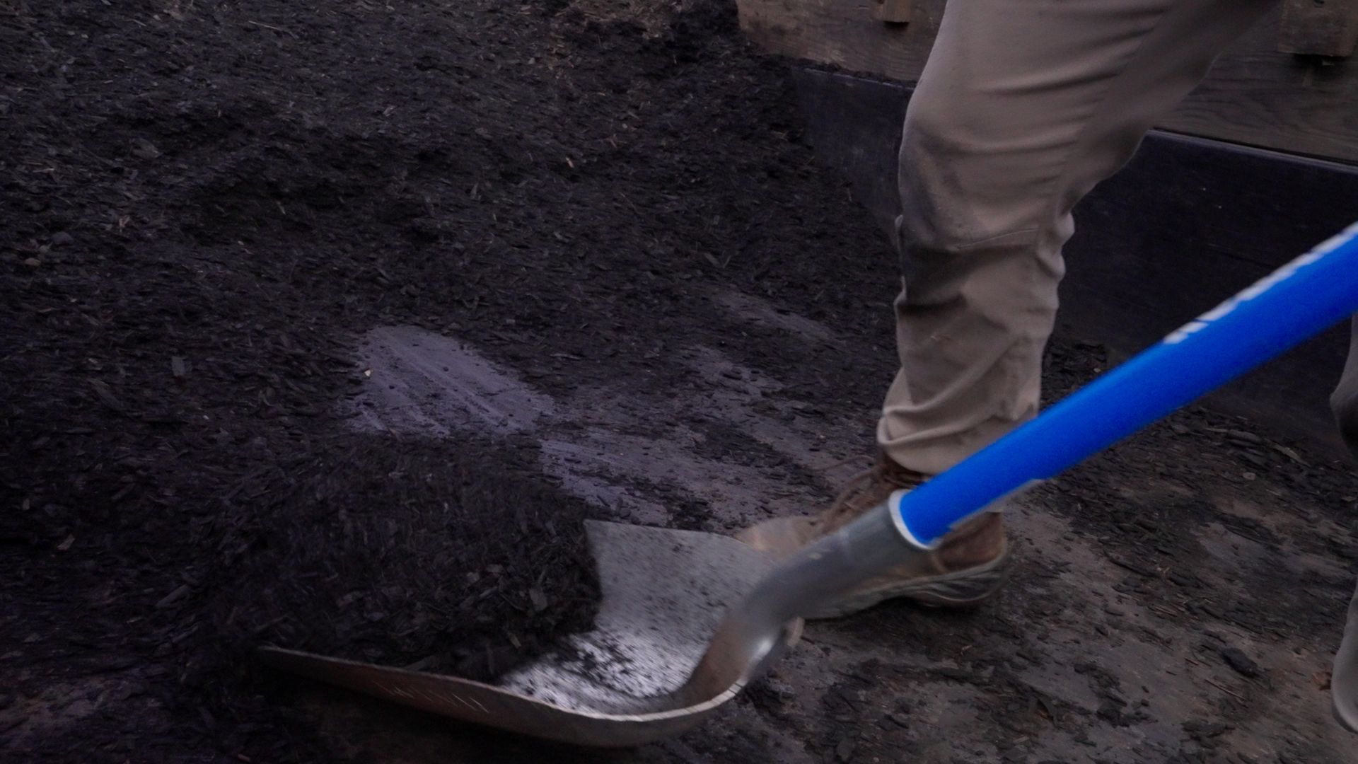 Shovel scooping dark soil beside a person's legs, with a blue handle in view.