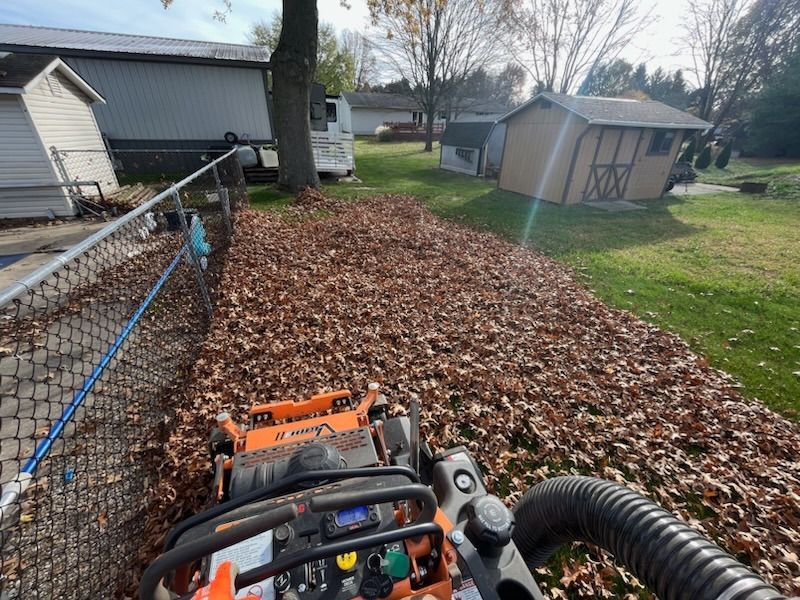 Property Clean Up