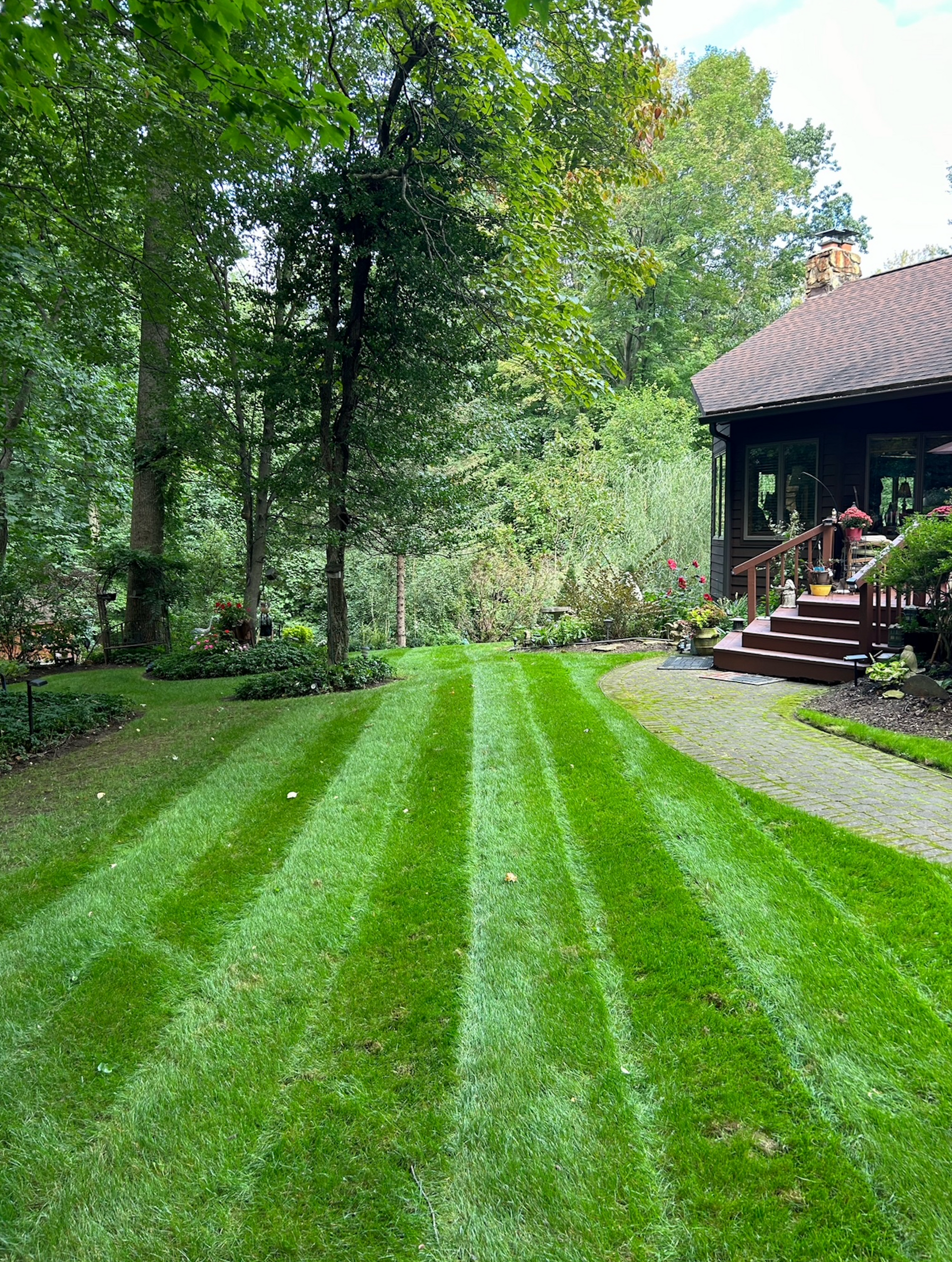 Freshly Mowed Lawn