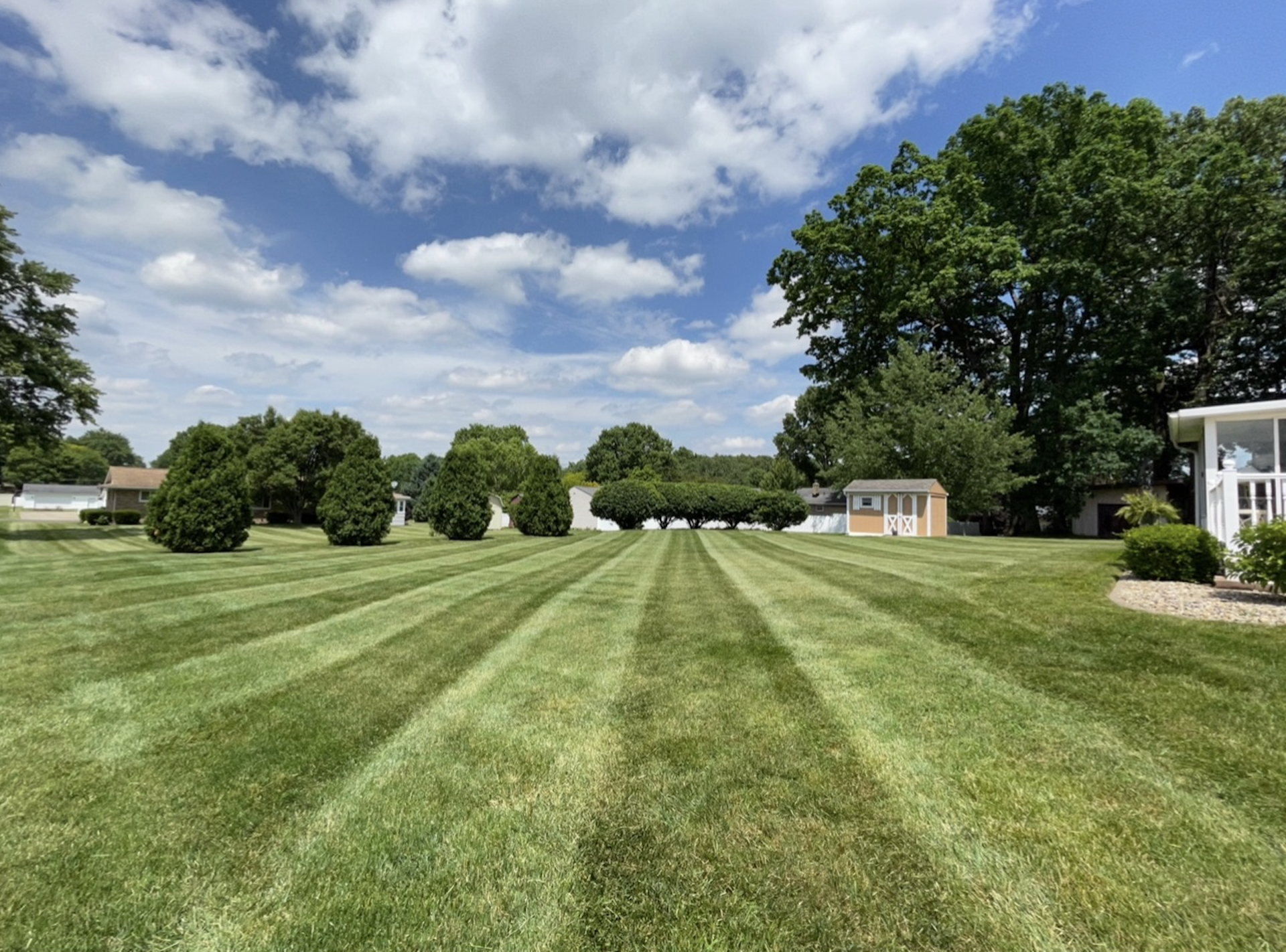 Freshly Mowed Lawn