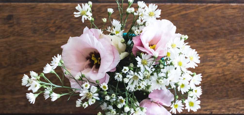 Indianapolis IN cremation services