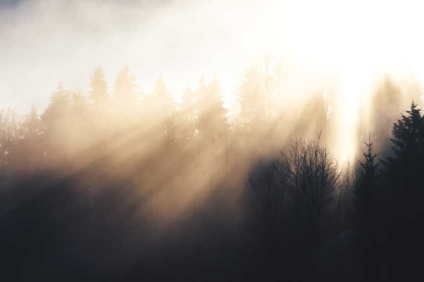 Indianapolis, IN cremation services