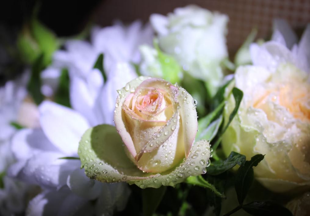 Indianapolis, IN cremation services