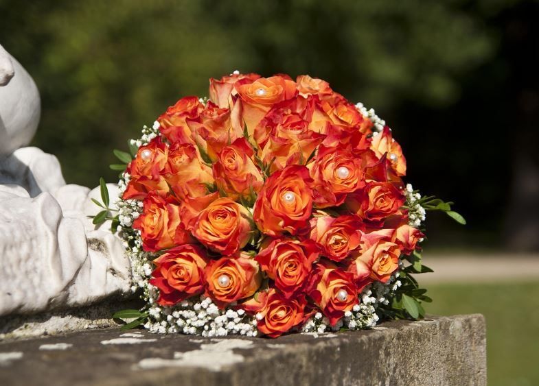 Indianapolis, IN Cremation Services