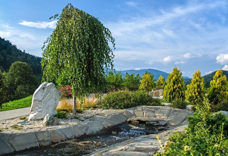 Peaceful memorial garden with stream and trees, Indianapolis, IN funeral services for green burials